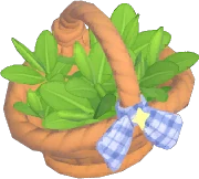 Adorno certificado de hoja de té