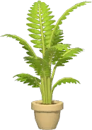 Areca-bambu com Base