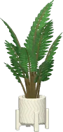 Areca-bambu com Base