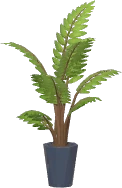 Areca-bambu com Base