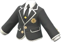 Academic Suit