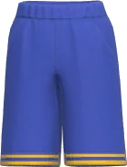 Bermuda de Basquete