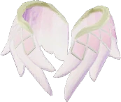 Aretes de plumas protectoras