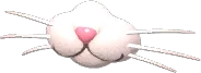 Bigodinho Felino