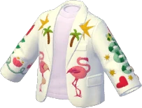 Blazer Colorido