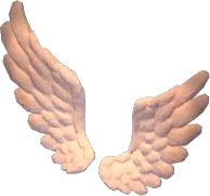 Aretes de pluma voladora
