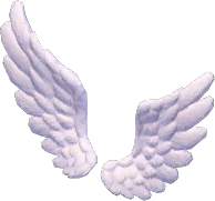 Aretes de pluma voladora