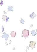 Adorno de pierna de flor del viento