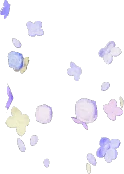 Adorno de pierna de flor del viento