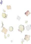 Adorno de pierna de flor del viento