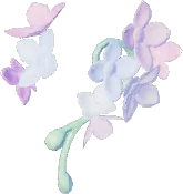 Aretes de flor del viento