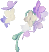 Aretes de flor del viento
