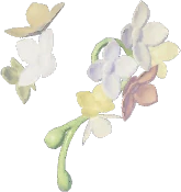 Aretes de flor del viento